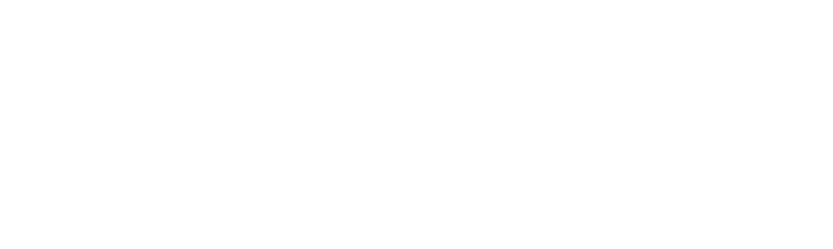 Logo Bezahlmethode Rechnung